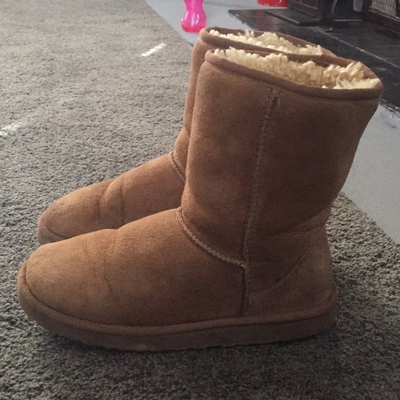 Chestnuts uggs - Picture 2 of 6